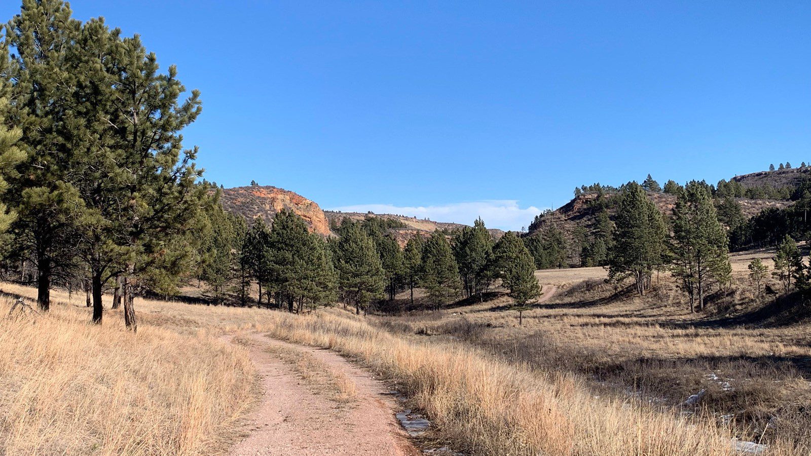 Trail through a canyon at Wind Cave National Park