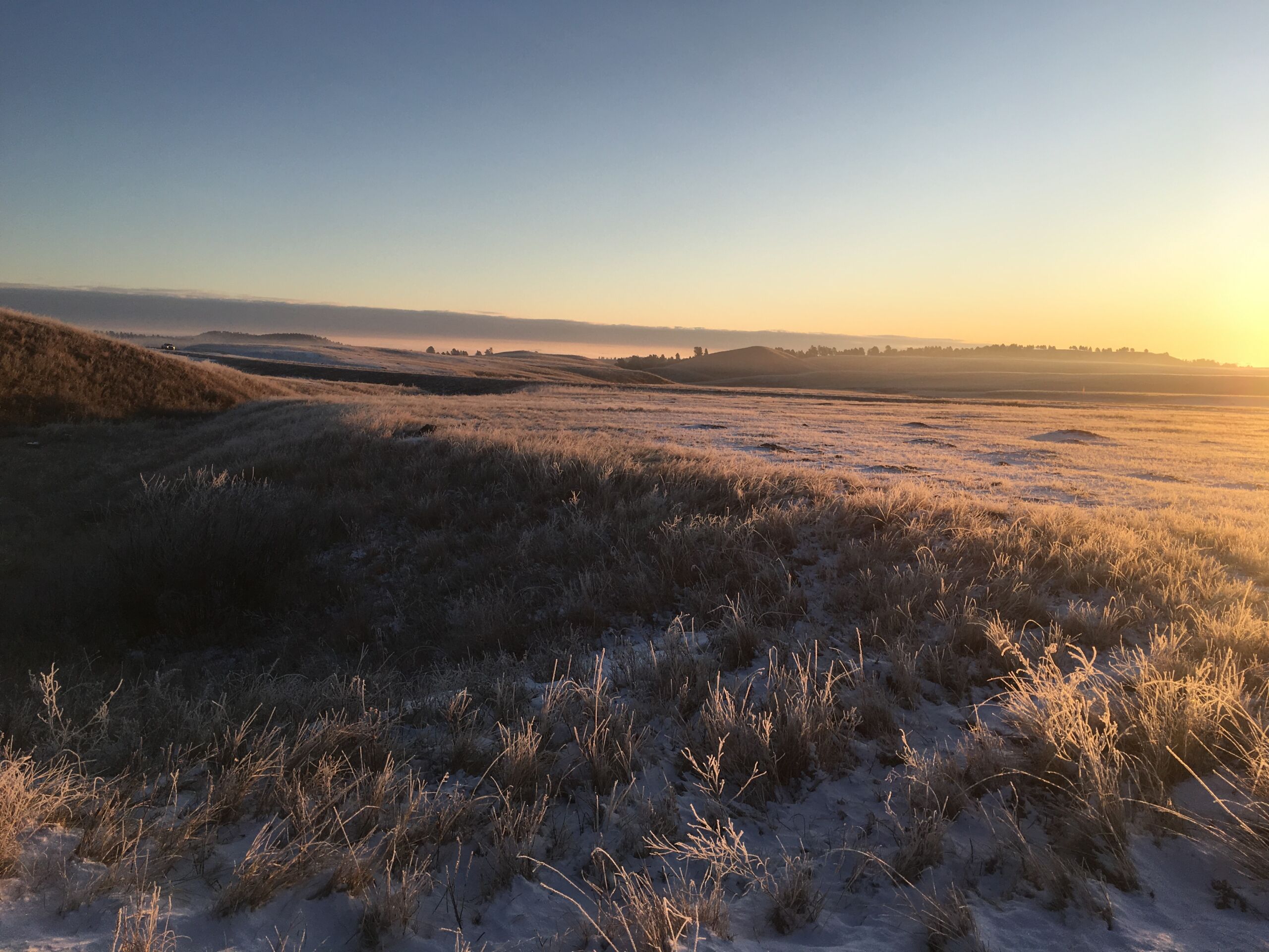 Frosty morning light over the prairie at Wind Cave National Park